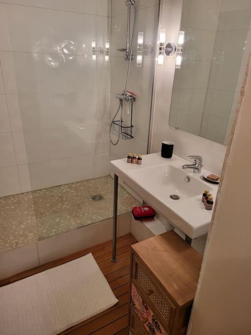 Appartement Luxe "La Providence" , Plein Centre Vichy Ngoại thất bức ảnh