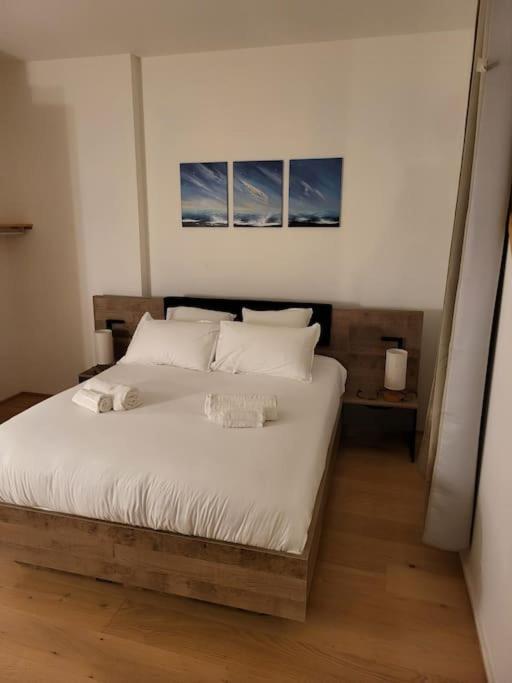 Appartement Luxe "La Providence" , Plein Centre Vichy Ngoại thất bức ảnh