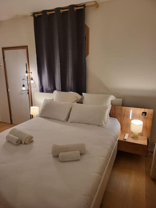 Appartement Luxe "La Providence" , Plein Centre Vichy Ngoại thất bức ảnh