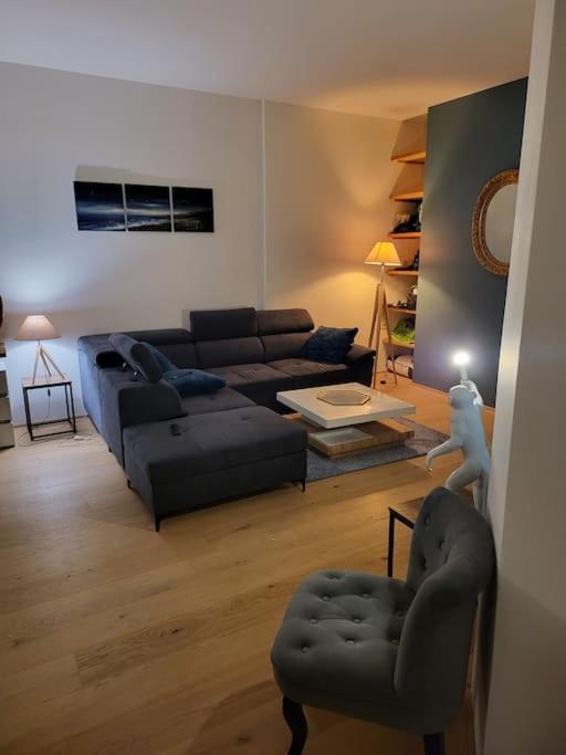 Appartement Luxe "La Providence" , Plein Centre Vichy Ngoại thất bức ảnh